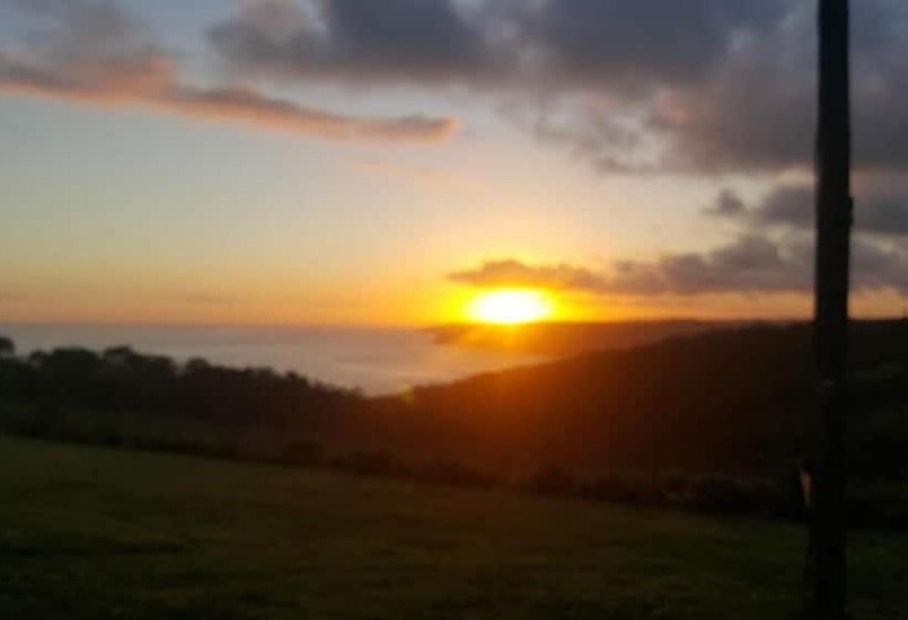 هاستل The Wild Farm Backpackers