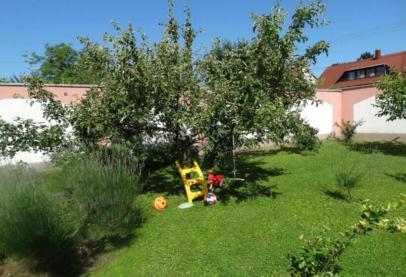 ベッドアンドブレックファースト Budai Panzió