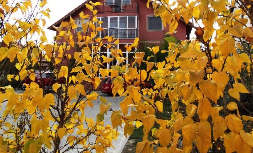 ベッドアンドブレックファースト Budai Panzió