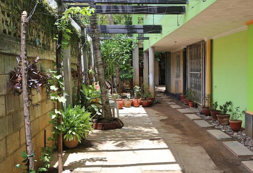 مبيت وإفطار Hostal San Antonio