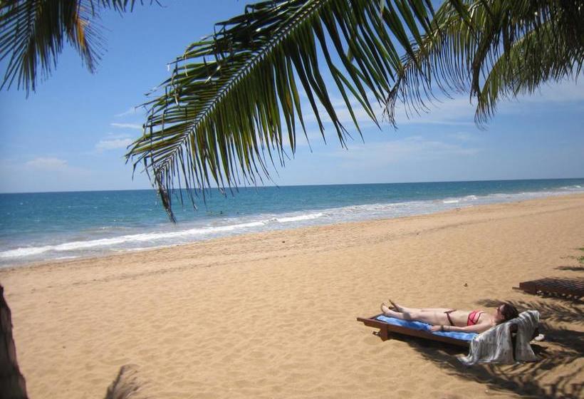 민박 Janus Paradise Rest