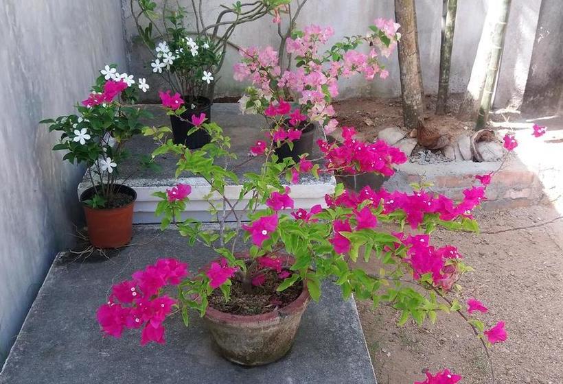 민박 Janus Paradise Rest