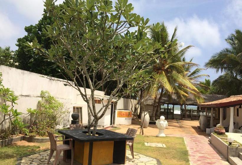 민박 Janus Paradise Rest