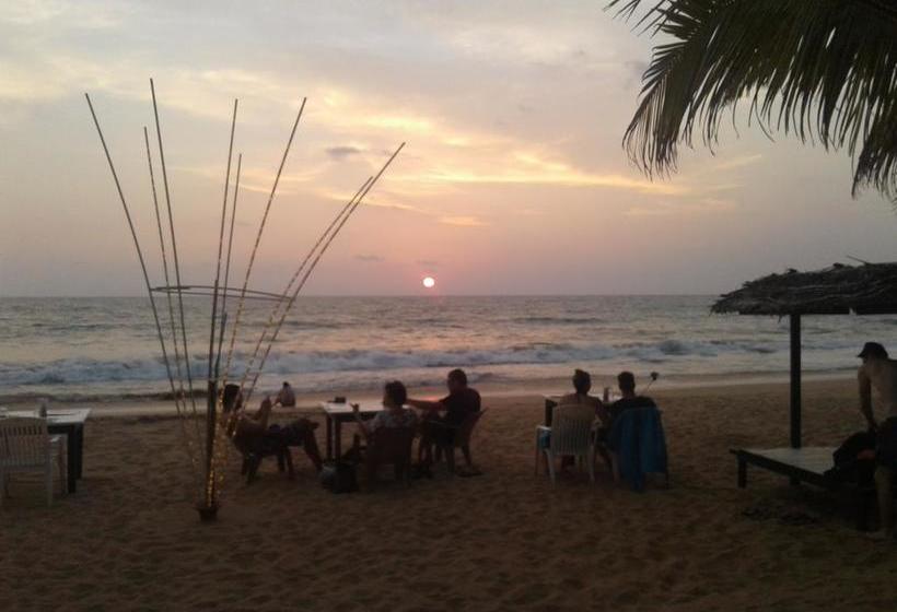 민박 Janus Paradise Rest