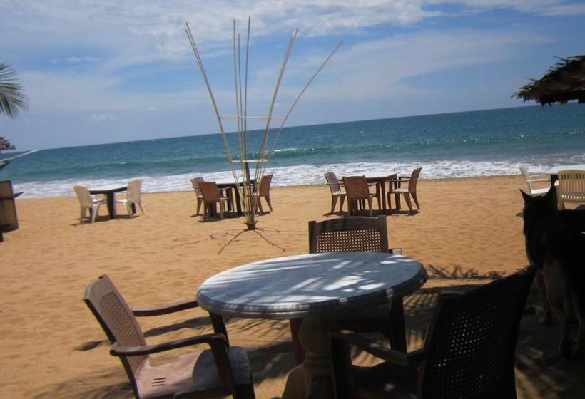 민박 Janus Paradise Rest