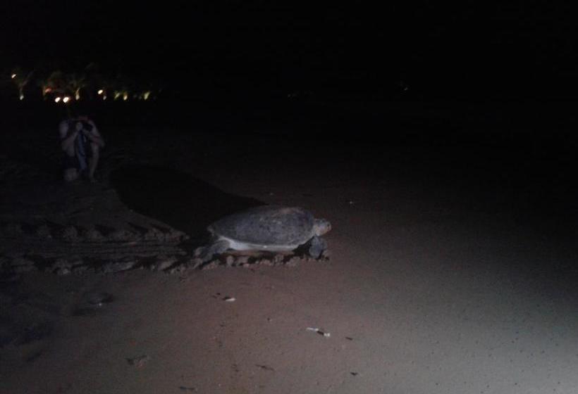 민박 Janus Paradise Rest