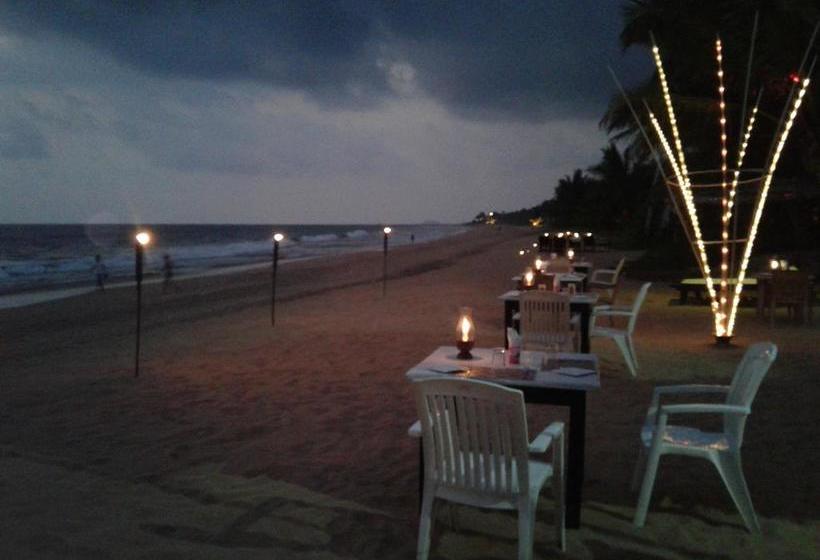 민박 Janus Paradise Rest