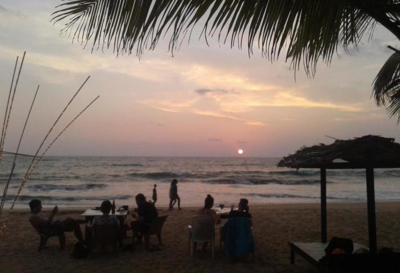 민박 Janus Paradise Rest