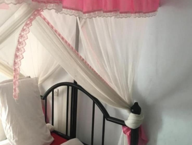 تختخواب و صبحانه Kutetere Motel