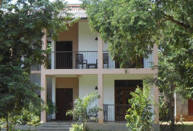 Bed and Breakfast Lario Resort