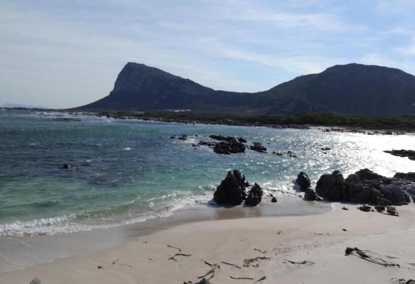 ベッドアンドブレックファースト Stay At Friends