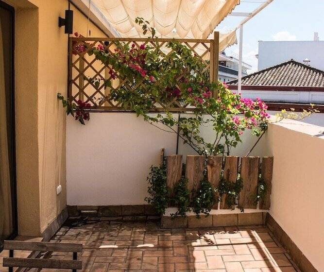 Black Swan Hostel Sevilla