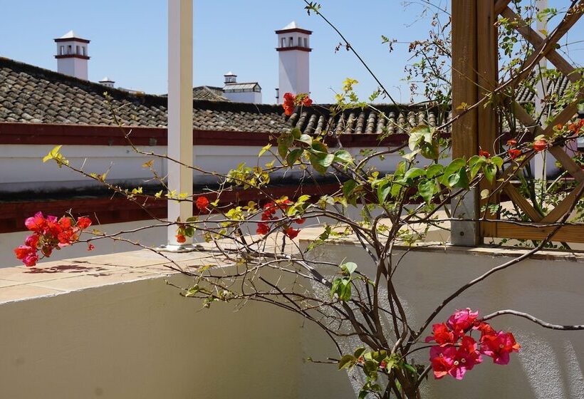 Black Swan Hostel Sevilla