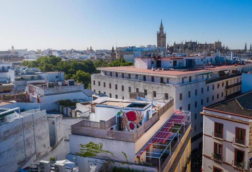 Black Swan Hostel Sevilla