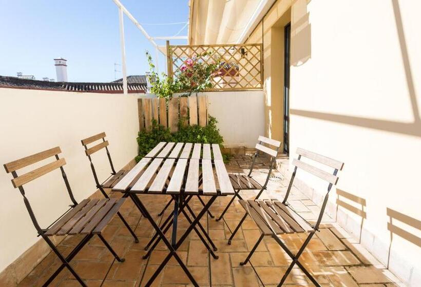 Black Swan Hostel Sevilla