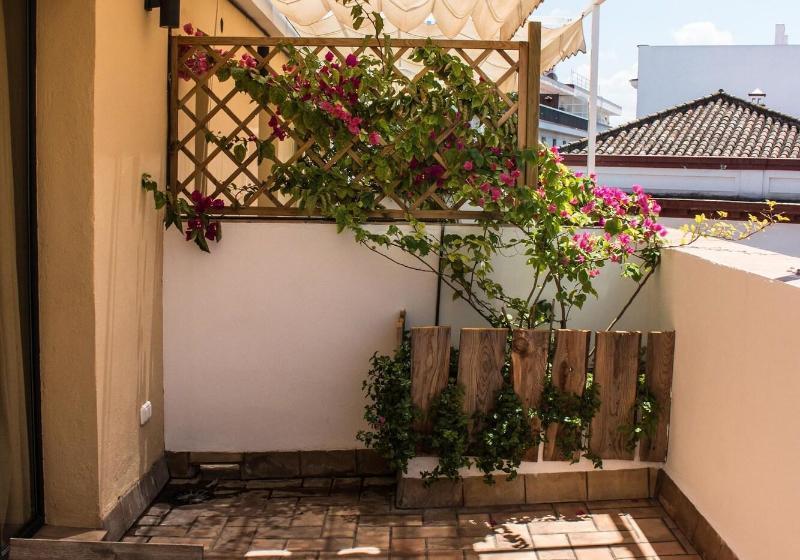 Black Swan Hostel Sevilla