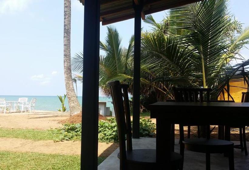 בית מלון כפרי Airport Beach Villa