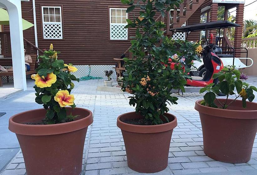 فندق Blue Wave Guest House