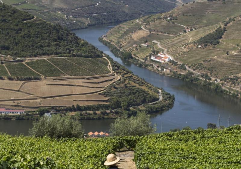 酒店 Casa De Casal De Loivos