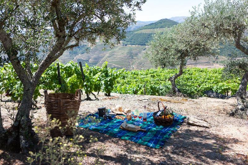 酒店 Casa De Casal De Loivos