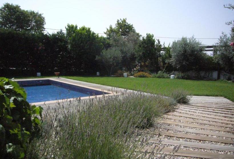 Отель Casa Do Crato