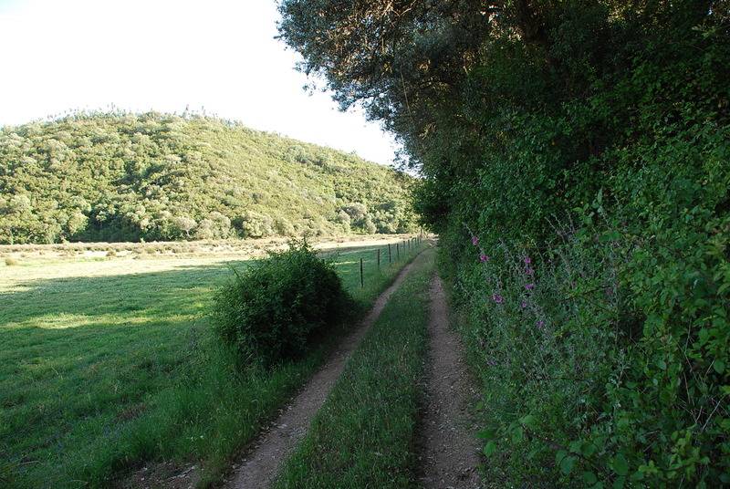 호텔 Casas Da Cerca