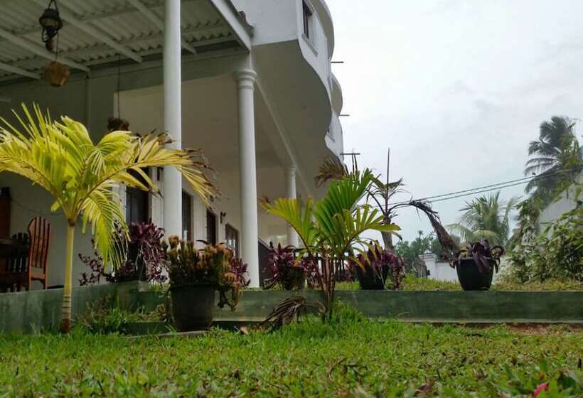 Отель Crystal Oceanic