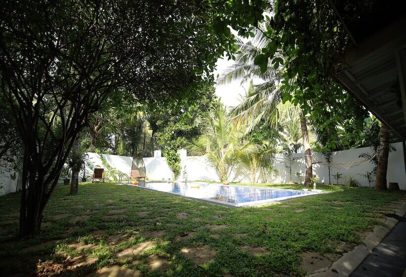 Отель Crystal Oceanic