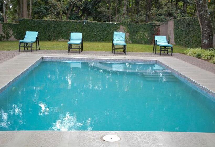 Отель 3 Degrees