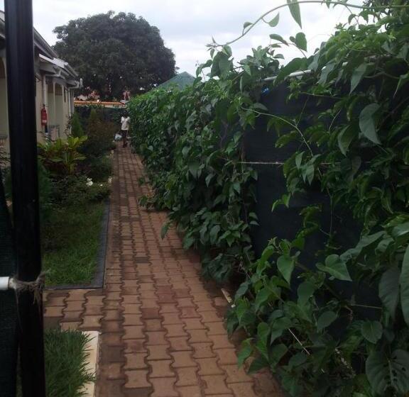 Dich Comfort Hotel   Main Branch