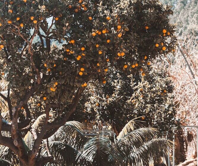 هتل Finca Ca N Ai  Adults Only