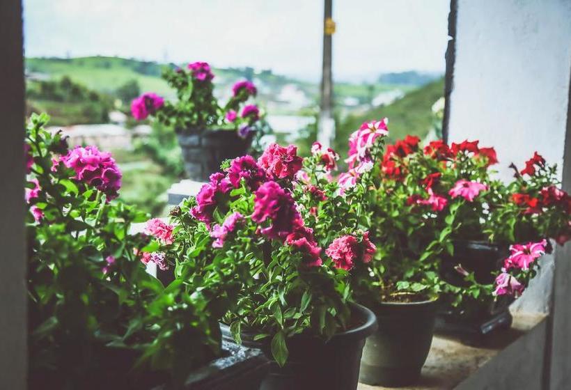 Отель Himawari Hills