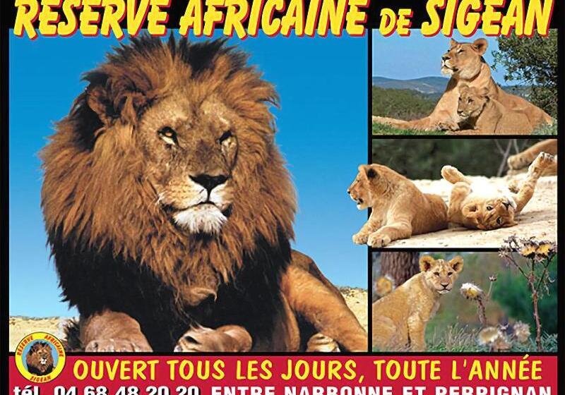 فندق Ibis Budget Narbonne Sud A9/a61