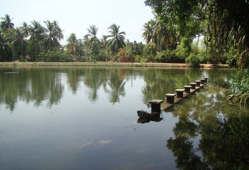 Отель Nadun Rest