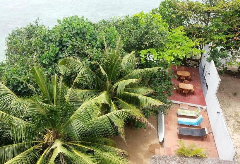 ホテル Beach Paradise