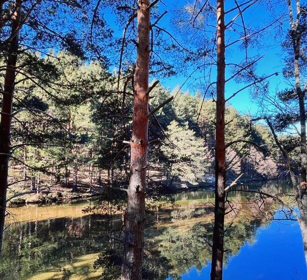 فندق ريفى Rural Los Manzanos