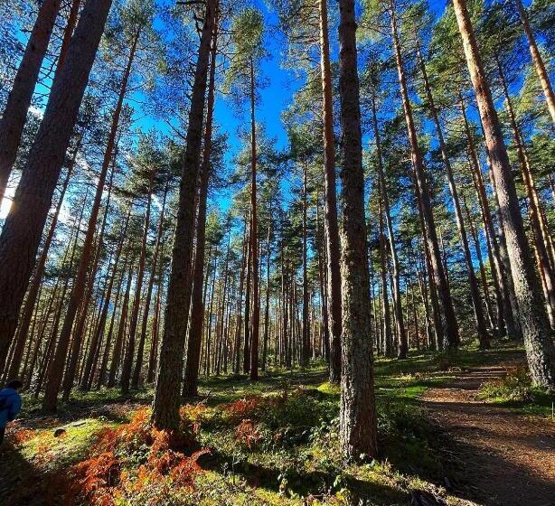 فندق ريفى Rural Los Manzanos