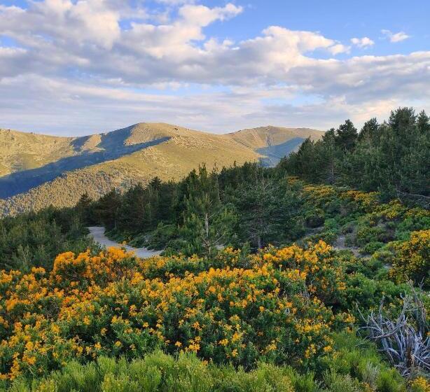 فندق ريفى Rural Los Manzanos