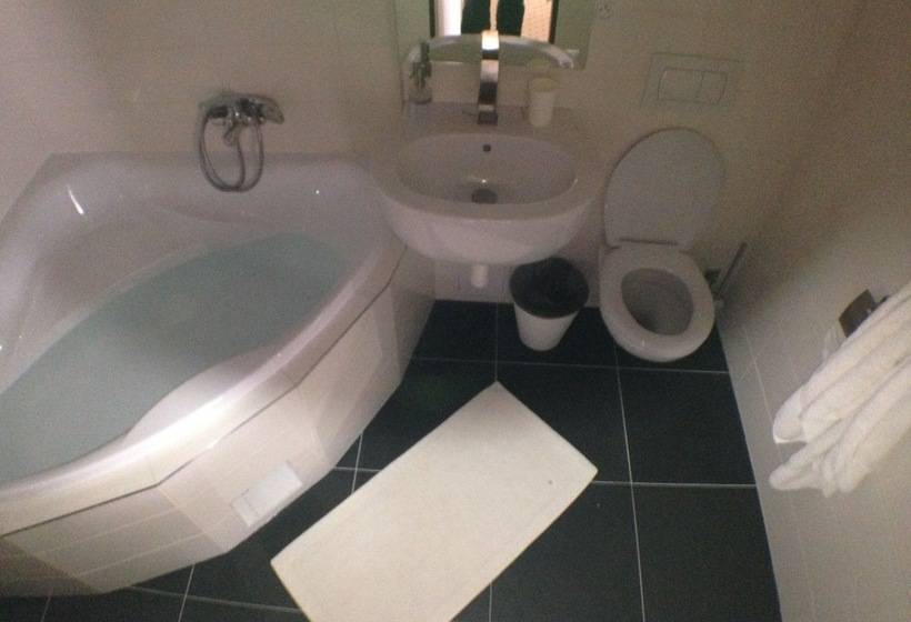 酒店 U Cerneho Orla