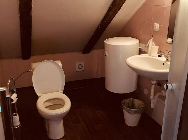 酒店 U Cerneho Orla