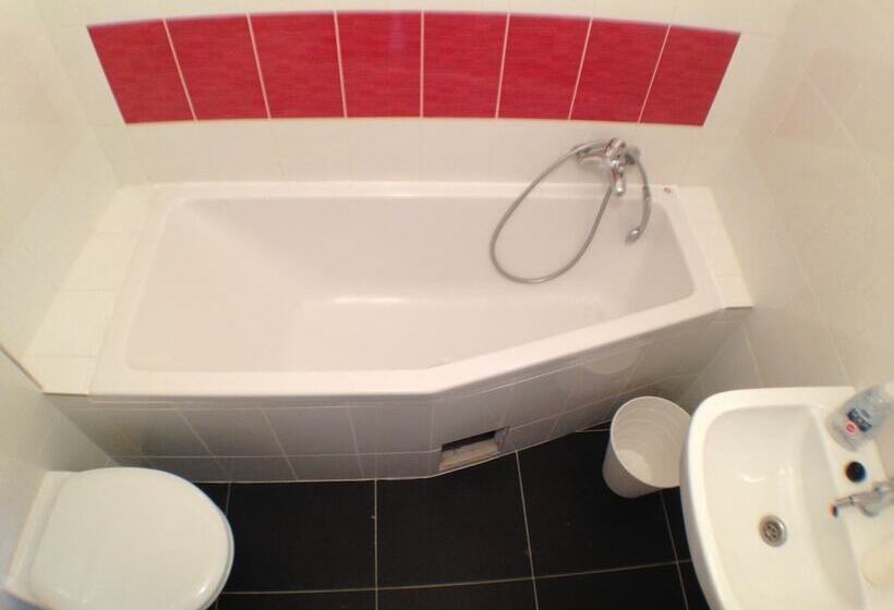 酒店 U Cerneho Orla