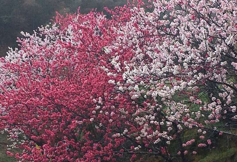 日式旅馆 Kinosato Yamanoyu