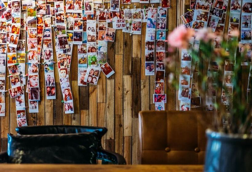 Sonderia Hostel & Bar   Lazybones Hostel