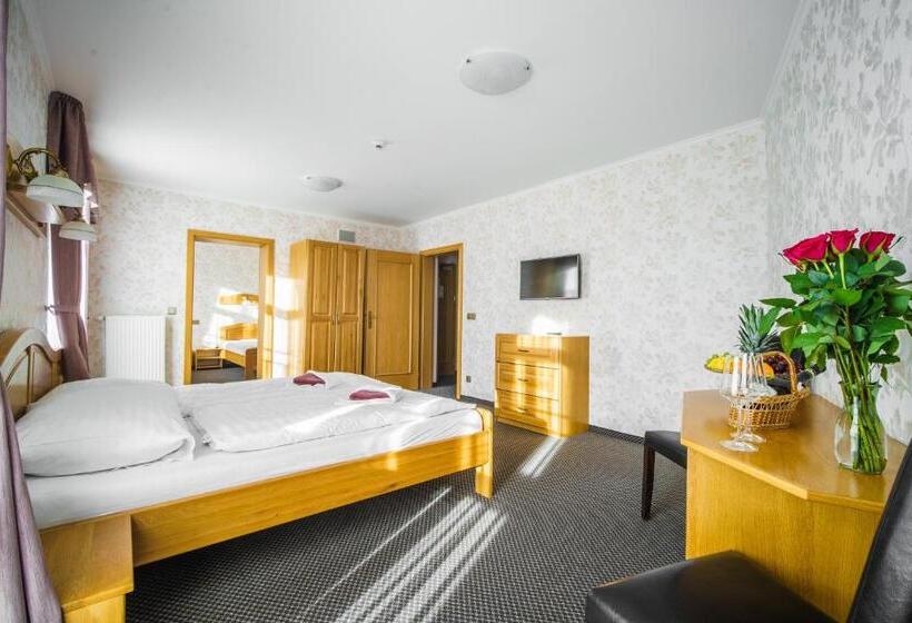 Spa Hotel Millenium Karlovy Vary