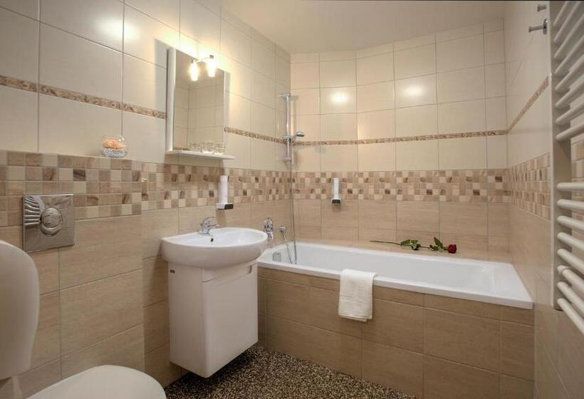 Spa Hotel Millenium Karlovy Vary