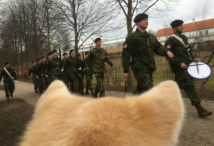 ユースホステル Fredensborg Vandrerhjem, I Kongens Baghave