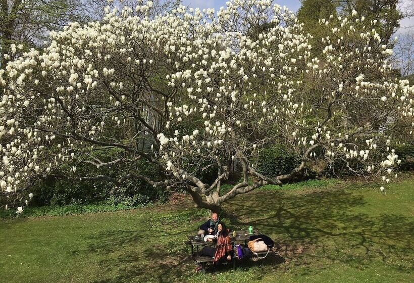 ユースホステル Fredensborg Vandrerhjem, I Kongens Baghave