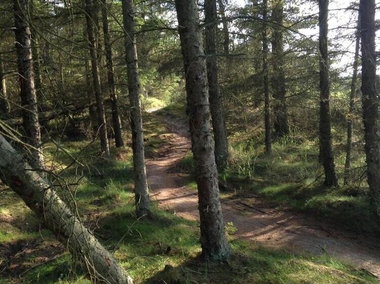 ユースホステル Idrætscenter Jammerbugt