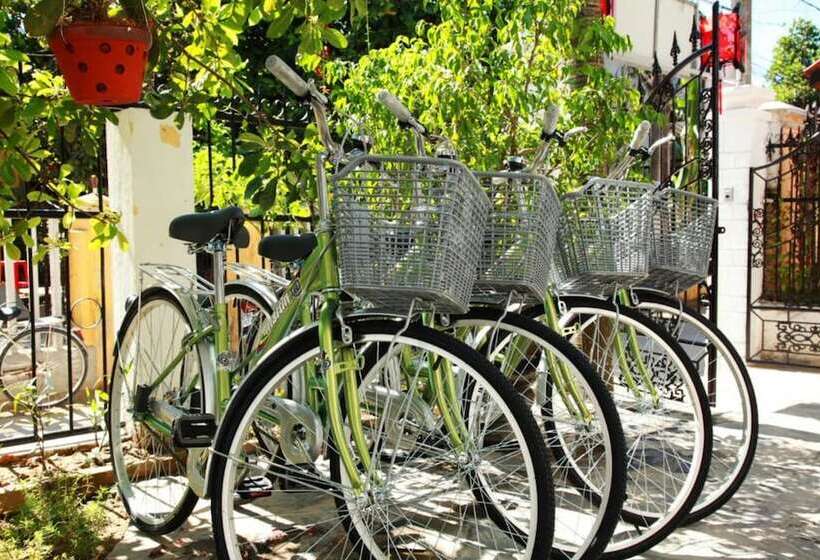 هاستل Hoi An Sunny Garden