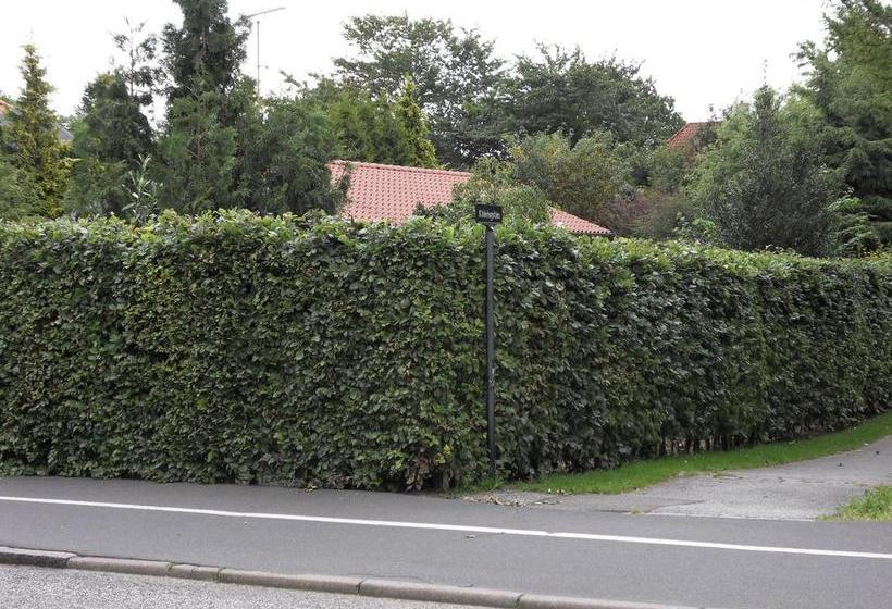 Bed And Breakfast Birkerod